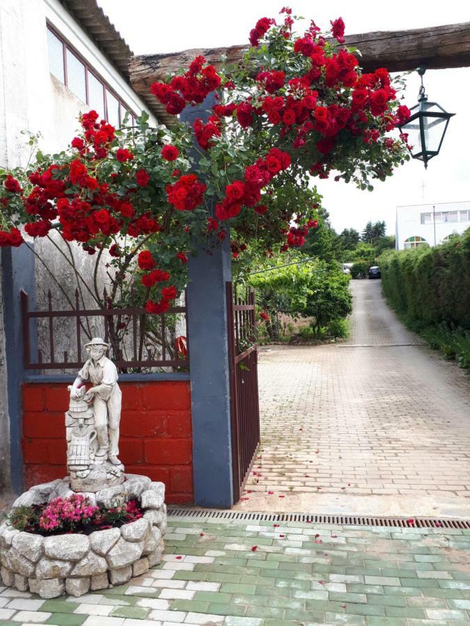 알판데가 다 페 Quintinha Dos Cedros 빌라 외부 사진